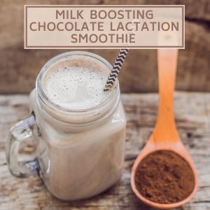 Harry Hoot - Recipe - Milk Boosting Chocolate Lactation Smoothie